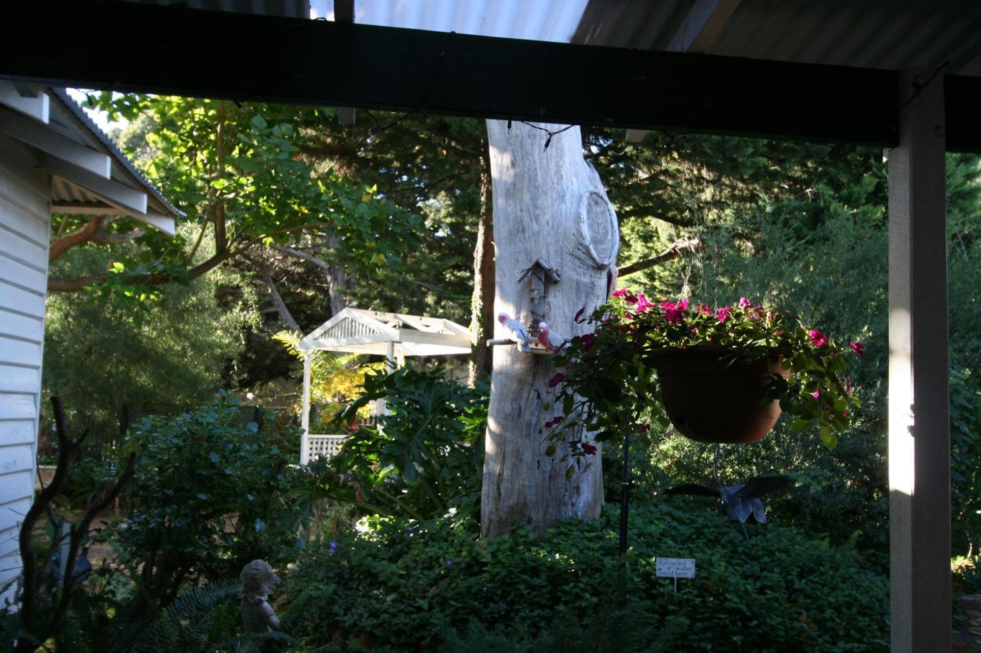 Rosebridge House Bed & Breakfast Adult Retreat Gooseberry Hill Esterno foto